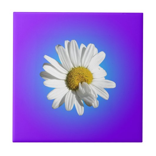 White Daisy Blume Bloral Lila Blue Gradient Fliese (Vorderseite)