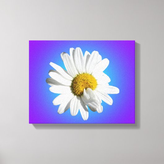 White Daisy Blume Bloral Lila Blue Gradient Leinwanddruck (Vorderseite)