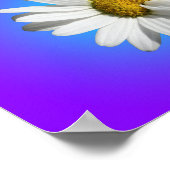 White Daisy Blume Bloral Lila Blue Gradient Poster (Ecke)