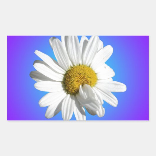White Daisy Blume Bloral Lila Blue Gradient Rechteckiger Aufkleber (Vorderseite)