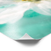 White Daisy Blume Blue Water Pond Aqua Türkis Fotodruck (Ecke)