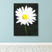 White Daisy Blume Canvas Print Leinwanddruck (Insitu (Holzboden))