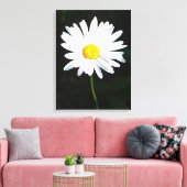 White Daisy Blume Canvas Print Leinwanddruck (Insitu (Wohnzimmer))