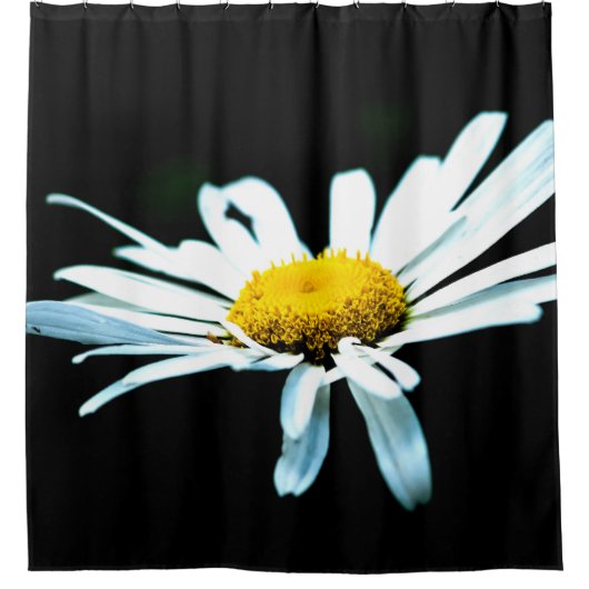 White Daisy Blume Duschvorhang (Vorderseite)