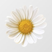 White Daisy Blume Fensteraufkleber (Blatt)