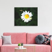 White Daisy Blume Foto Wrapped canvas Leinwanddruck (Insitu (Wohnzimmer))