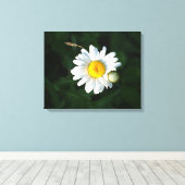 White Daisy Blume Foto Wrapped canvas Leinwanddruck (Insitu (Holzboden))