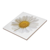 White Daisy Blume im weißen Hintergrund Fliese (Seite)