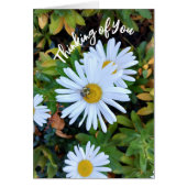 White Daisy Blume mit einem Bienengedanken (Vorne)