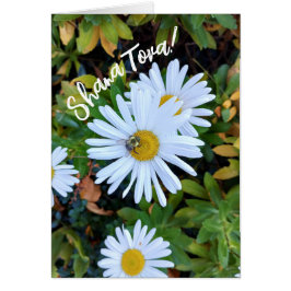 White Daisy Blume mit einer Bee Rosh Hashanah Card