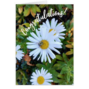 White Daisy Blume mit einer BienenGratulationskart