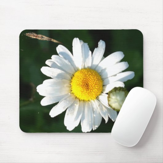 White Daisy Blume Mousepad (Mit Mouse)