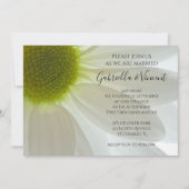 White Daisy Blume Petals Wedding Einladung (Vorderseite)