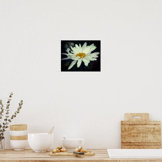 White Daisy Blume Poster (Küche)