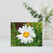 White Daisy Blume Postkarte (Stehend Vorderseite)