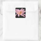 White Daisy Blume Quadratischer Aufkleber (Tasche)
