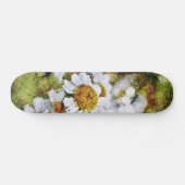 White Daisy Blume - Skateboard Malerei (Horizontal)