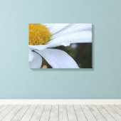 White Daisy Closeup Canvas Print Leinwanddruck (Insitu (Holzboden))