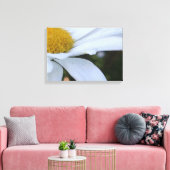 White Daisy Closeup Canvas Print Leinwanddruck (Insitu (Wohnzimmer))