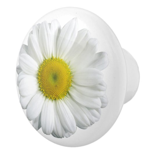 White Daisy Country Keramik Pull Keramikknauf (Rechts)
