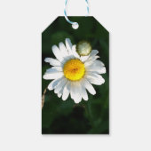 White Daisy Custom Gift Tag Geschenkanhänger (Rückseite)