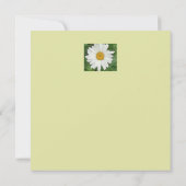 White Daisy Flat Birthday Card (Rückseite)