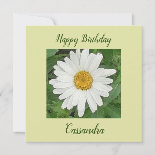 White Daisy Flat Birthday Card (Vorderseite)