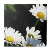 White Daisy Fliese (Vorderseite)