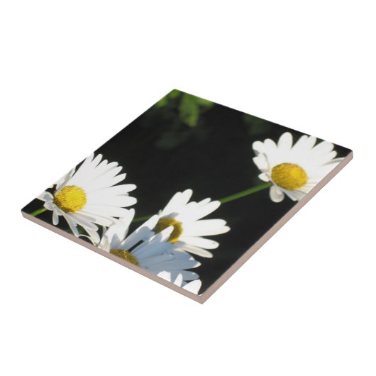 White Daisy Fliese (Seite)