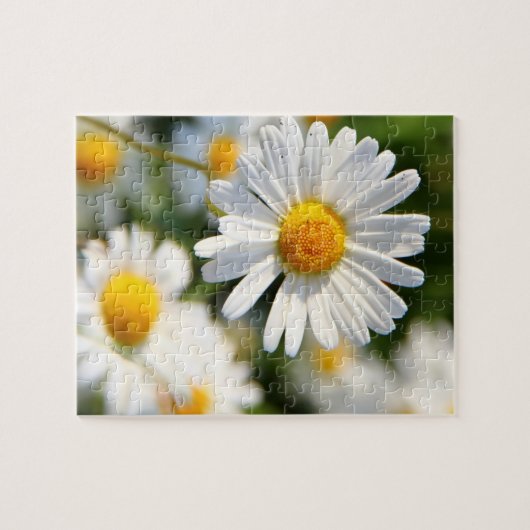 White Daisy Floral Puzzle (Horizontal)