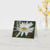 White Daisy Flower Photography Note Karte (Gelbe Blume)