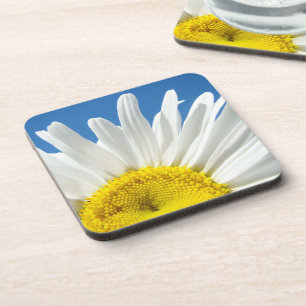 White Daisy Flowers cork coasters Entertaining Untersetzer