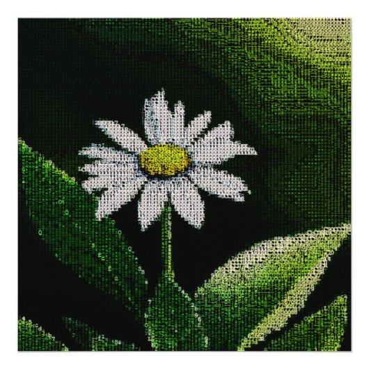 WHITE DAISY FOTODRUCK (Vorne)