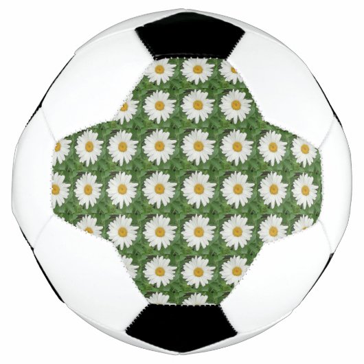 White Daisy Fußball (Vorderseite)