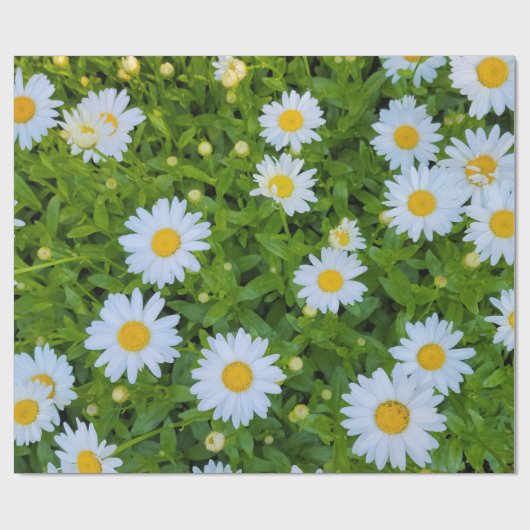 White Daisy Garden Geschenkpapier (Flach)