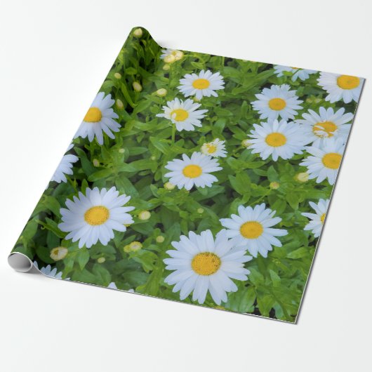 White Daisy Garden Geschenkpapier (Ungerollt)