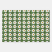 White Daisy Geschenkpapier Set (Vorderseite 2)