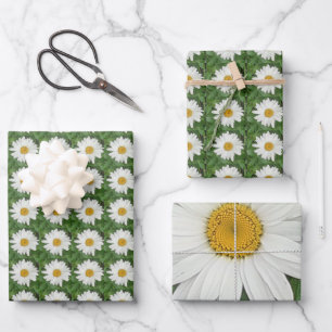 White Daisy Geschenkpapier Set