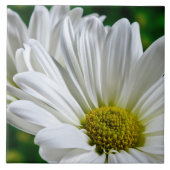 White Daisy Keramik Tile Fliese (Vorderseite)