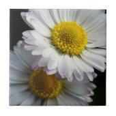 White Daisy Keramik Tile Fliese (Vorderseite)