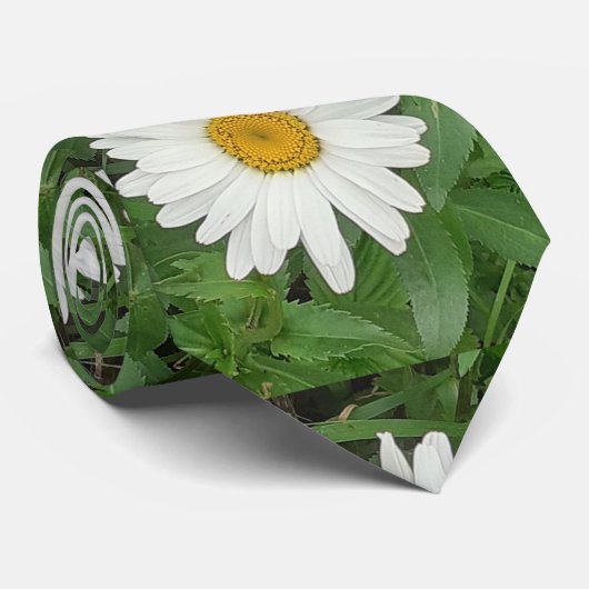 White Daisy Krawatte (Gerollt)