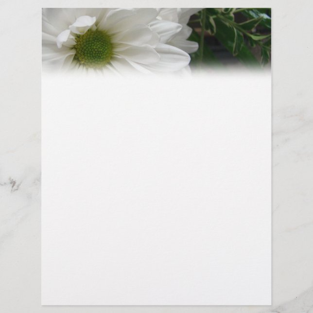 White Daisy Letterhead (Vorderseite)