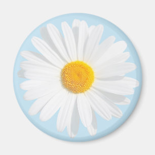 white daisy magnet