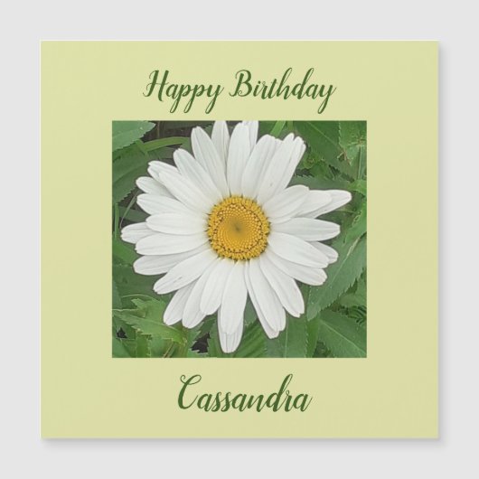 White Daisy Magnetic Birthday Card Magnetkarte (Vorderseite)
