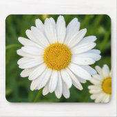 White Daisy Mousepad (Vorne)