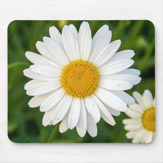 White Daisy Mousepad (Vorne)
