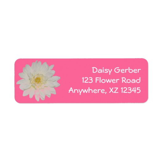 White Daisy Mum (Vorne)