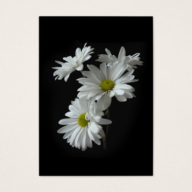 White Daisy Mums ATC Foto Card (Vorderseite)