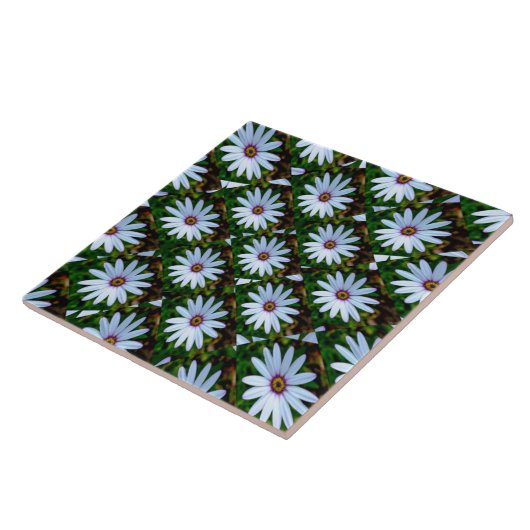 White Daisy Pattern Fliese (Seite)