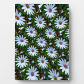 White Daisy Pattern Fotoplatte (Vorderseite)